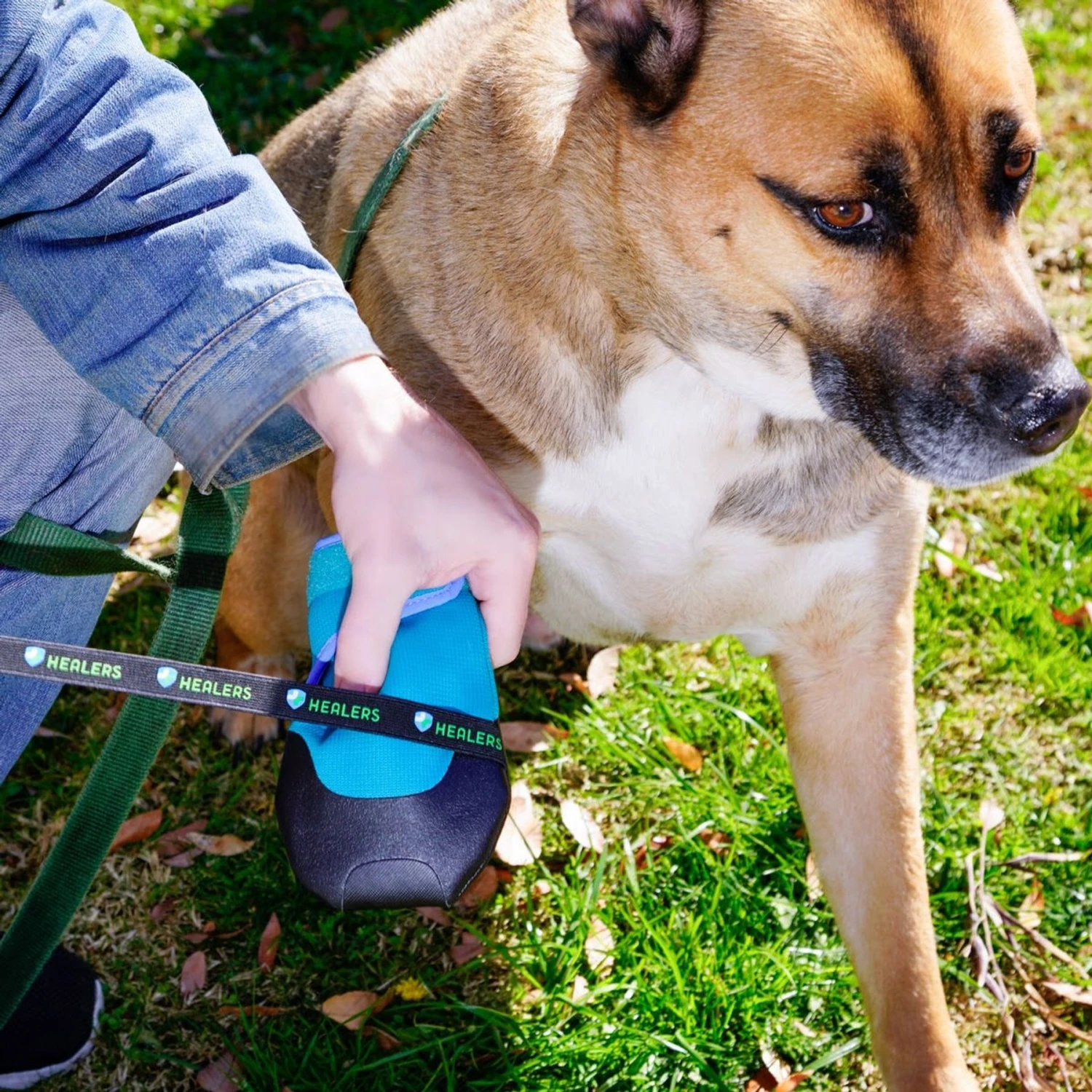 Healers Urban Walker III Waterproof Dog Boots 9 Healers Urban Walker III Waterproof Dog Boots - Image 7