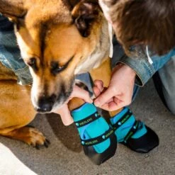 Healers Urban Walker III Waterproof Dog Boots -Blue Buffalo Shop 899974 PT7. AC SS1800 V1688062373