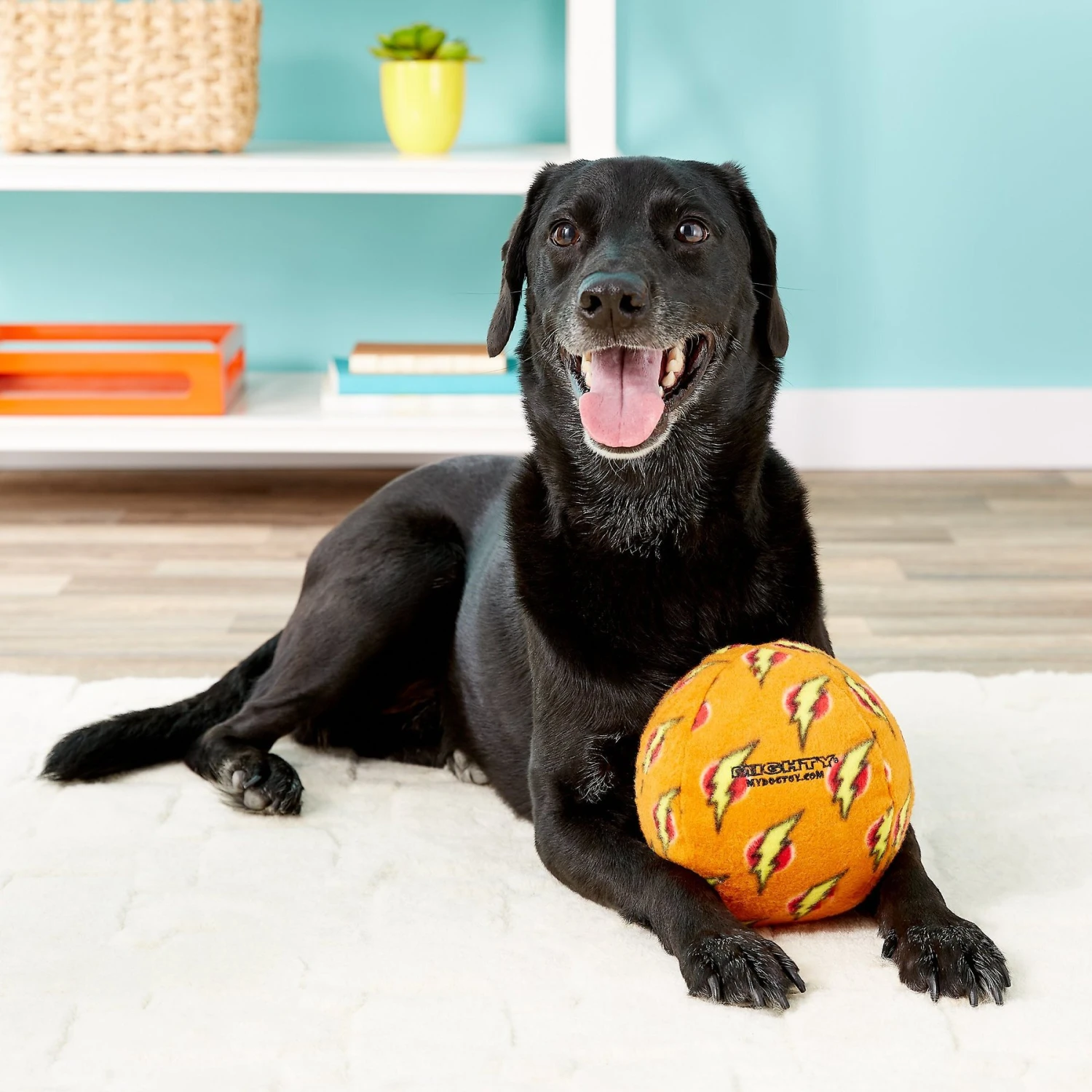 Mighty Squeaky Stuffing-Free Plush Ball Dog Toy 6 Mighty Squeaky Stuffing-Free Plush Ball Dog Toy - Image 4