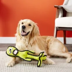 Tuffy's Alien G6 Plush Dog Toy -Blue Buffalo Shop 90115 PT3. AC SS1800 V1589560631