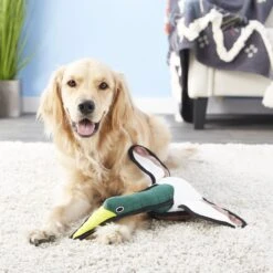 Tuffy's Barnyard Duck Squeaky Plush Dog Toy 14 Tuffy's Barnyard Duck Squeaky Plush Dog Toy -Blue Buffalo Shop 90117 PT3. AC SS1800 V1589560645