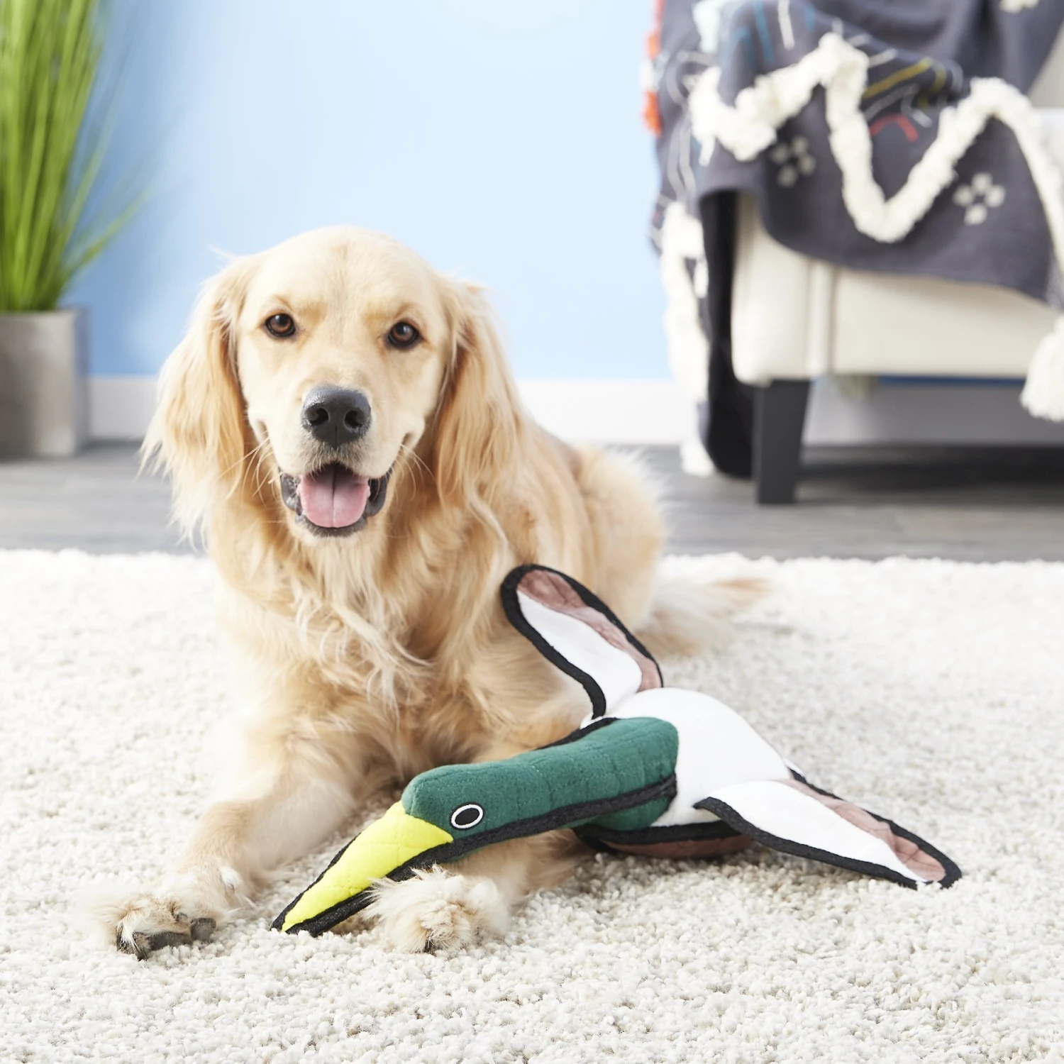 Tuffy's Barnyard Duck Squeaky Plush Dog Toy 6 Tuffy's Barnyard Duck Squeaky Plush Dog Toy - Image 4