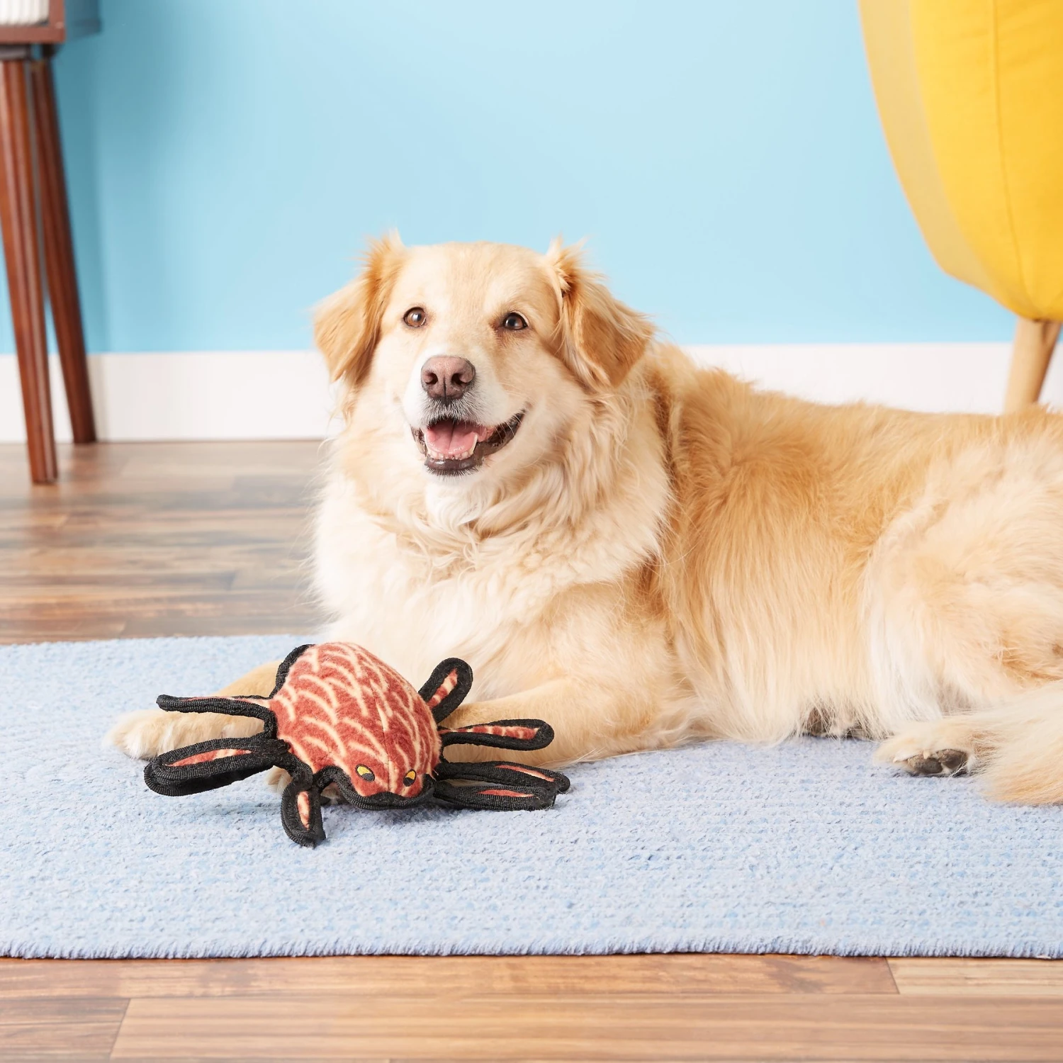 Tuffy's Desert Spider Plush Dog Toy 6 Tuffy's Desert Spider Plush Dog Toy - Image 4