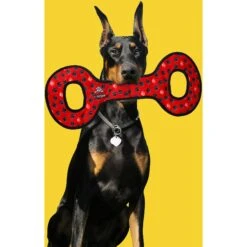 Tuffy's No Stuff Ultimate Tug-O-War Squeaky Plush Dog Toy -Blue Buffalo Shop 90146 PT2. AC SS1800 V1589560955