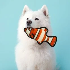 Tuffy's Ocean Creatures Fish Squeaky Plush Dog Toy 11 Tuffy's Ocean Creatures Fish Squeaky Plush Dog Toy -Blue Buffalo Shop 90151 PT2. AC SS1800 V1589561154