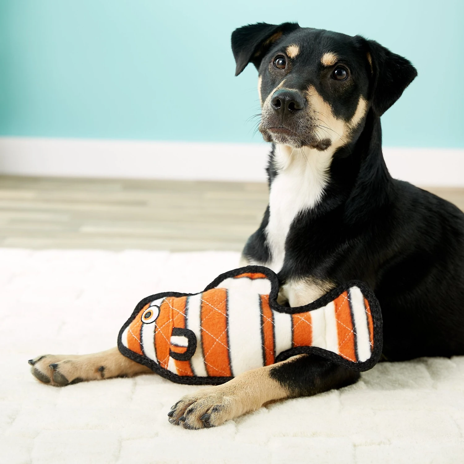 Tuffy's Ocean Creatures Fish Squeaky Plush Dog Toy 6 Tuffy's Ocean Creatures Fish Squeaky Plush Dog Toy - Image 4