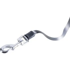 Pounce + Fetch 10-ft Retractable Dog Leash, Grey, Small 12 Pounce + Fetch 10-ft Retractable Dog Leash, Grey, Small -Blue Buffalo Shop 902126 PT2. AC SS1800 V1688566942