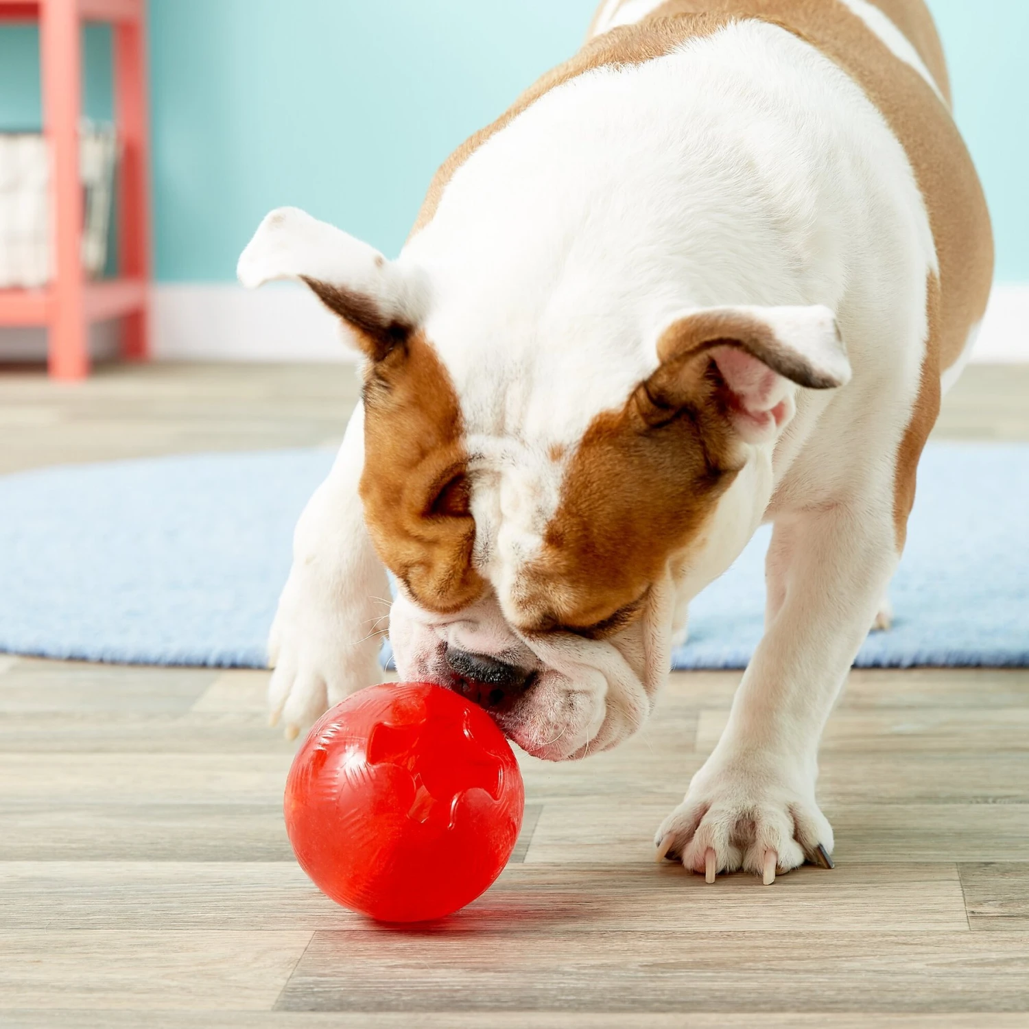 Ethical Pet Play Strong Rubber Ball Tough Dog Chew Toy 5 Ethical Pet Play Strong Rubber Ball Tough Dog Chew Toy - Image 3