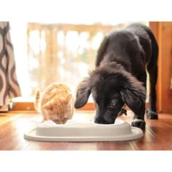 WeatherTech Double Low Poly Bowl Cat & Dog Pet Feeding System -Blue Buffalo Shop 904870 PT2. AC SS1800 V1695584988