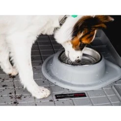 WeatherTech Single Low Poly Bowl Cat & Dog Pet Feeding System -Blue Buffalo Shop 905158 PT2. AC SS1800 V1695577429