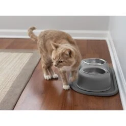 WeatherTechSingle High Stainless Steel Cat & Dog Pet Feeding System -Blue Buffalo Shop 905238 PT3. AC SS1800 V1695587873