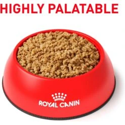 Royal Canin Veterinary Diet Adult Renal Support T Loaf Canned Dog Food -Blue Buffalo Shop 90644 PT2. AC SS1800 V1701379571