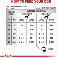 Royal Canin Veterinary Diet Adult Renal Support T Loaf Canned Dog Food -Blue Buffalo Shop 90644 PT6. AC SS1800 V1701379570