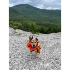 Ben's Insect Shield Bandana For Dogs 9 Ben's Insect Shield Bandana For Dogs -Blue Buffalo Shop 908278 PT3. AC SS1800 V1689630630