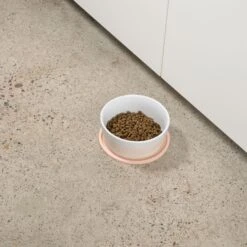 Waggo Habit Circle Silicone Dog & Cat Placemat, 2 Count 10 Waggo Habit Circle Silicone Dog & Cat Placemat, 2 Count -Blue Buffalo Shop 910598 PT3. AC SS1800 V1697761939