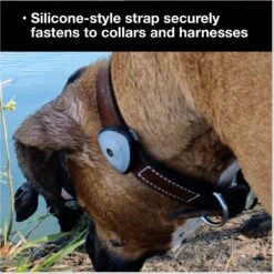 Max & Molly Soundshield 24/7 UltraSonic Tick & Flea Repeller Dog Tag -Blue Buffalo Shop 910782 PT6. AC SS1800 V1698939693