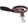 LupinePet Padded Handle Dog Leash 2 LupinePet Padded Handle Dog Leash -Blue Buffalo Shop 911430 MAIN. AC SS1800 V1689366186