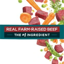 Purina Beneful IncrediBites With Farm-Raised Beef, Small Breed Dry Dog Food, 3.5-lb Bag 18 Purina Beneful IncrediBites With Farm-Raised Beef, Small Breed Dry Dog Food, 3.5-lb Bag -Blue Buffalo Shop 918942 PT7. AC SS1800 V1694538297