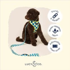 Lucy & Co. The Have A Nice Day Reversible Dog Harness, Blue 11 Lucy & Co. The Have A Nice Day Reversible Dog Harness, Blue -Blue Buffalo Shop 923062 PT3. AC SS1800 V1693511755