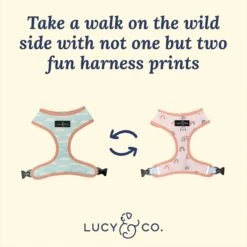 Lucy & Co. The In The Clouds Reversible Dog Harness, Pink 10 Lucy & Co. The In The Clouds Reversible Dog Harness, Pink -Blue Buffalo Shop 923198 PT2. AC SS1800 V1693513541