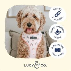 Lucy & Co. The In The Clouds Reversible Dog Harness, Pink 11 Lucy & Co. The In The Clouds Reversible Dog Harness, Pink -Blue Buffalo Shop 923198 PT3. AC SS1800 V1693515650