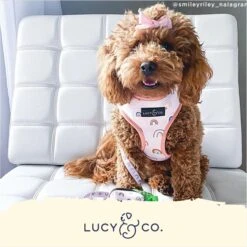 Lucy & Co. The In The Clouds Reversible Dog Harness, Pink 12 Lucy & Co. The In The Clouds Reversible Dog Harness, Pink -Blue Buffalo Shop 923198 PT4. AC SS1800 V1693513542