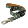 Lucy & Co. The Looking Sharp Polyester Padded Handle Dog Leash, Green 2 Lucy & Co. The Looking Sharp Polyester Padded Handle Dog Leash, Green -Blue Buffalo Shop 923446 MAIN. AC SS1800 V1693505534