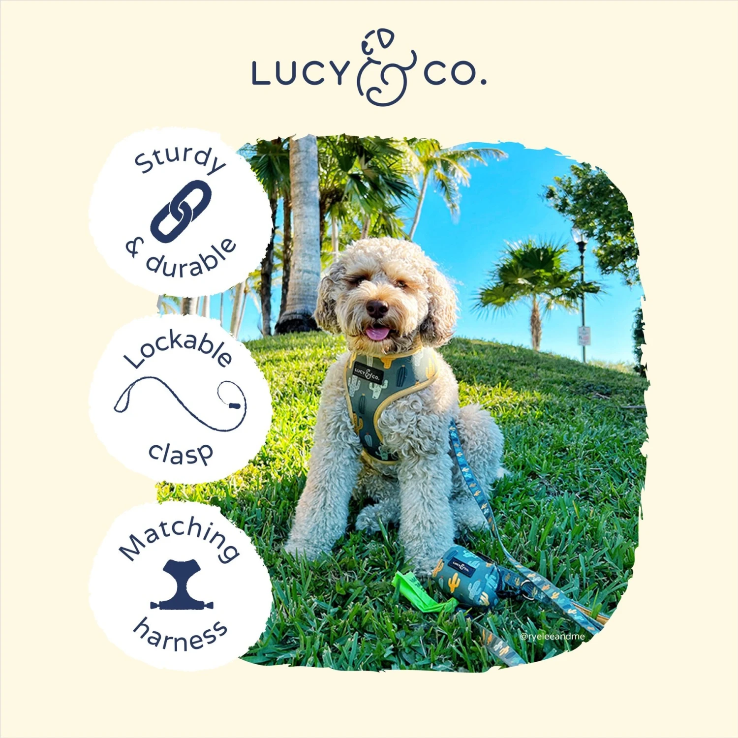 Lucy & Co. The Looking Sharp Polyester Padded Handle Dog Leash, Green 5 Lucy & Co. The Looking Sharp Polyester Padded Handle Dog Leash, Green - Image 3