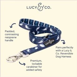 Lucy & Co. The Shark Attack Polyester Padded Handle Dog Leash, Blue 7 Lucy & Co. The Shark Attack Polyester Padded Handle Dog Leash, Blue -Blue Buffalo Shop 923678 PT1. AC SS1800 V1693509706