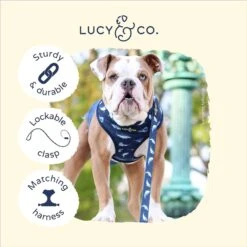 Lucy & Co. The Shark Attack Polyester Padded Handle Dog Leash, Blue 8 Lucy & Co. The Shark Attack Polyester Padded Handle Dog Leash, Blue -Blue Buffalo Shop 923678 PT2. AC SS1800 V1693509648