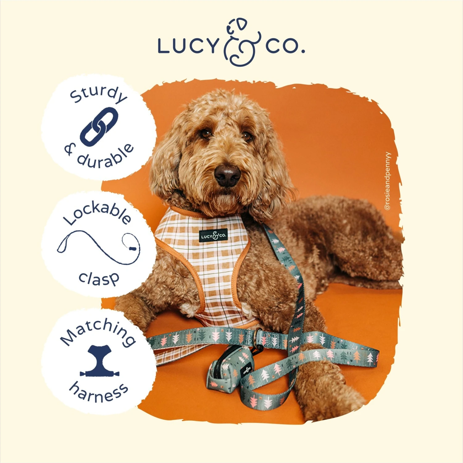 Lucy & Co. The Take A Hike Polyester Padded Handle Dog Leash, Green 5 Lucy & Co. The Take A Hike Polyester Padded Handle Dog Leash, Green - Image 3