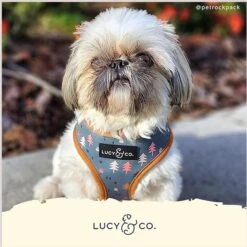 Lucy & Co. The Take A Hike Reversible Dog Harness, Green -Blue Buffalo Shop 923934 PT4. AC SS1800 V1693509592