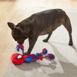 Marvel 's Captain America Plush With Rope Squeaky Dog Toy + 3 Items -Blue Buffalo Shop 929454 PT6. AC SS1800 V1690899555