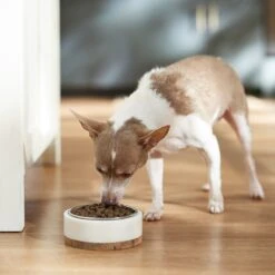 VICTOR Classic Hi-Pro Plus Formula Dry Dog Food -Blue Buffalo Shop 93064 PT3. AC SS1800 V1682710810