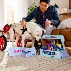 Goody Box Birthday Dog Toys & Treats & Pooch Creamery Peanut Butter Flavor Ice Cream Mix Dog Treat, 5.25-oz Cup 15 Goody Box Birthday Dog Toys & Treats & Pooch Creamery Peanut Butter Flavor Ice Cream Mix Dog Treat, 5.25-oz Cup -Blue Buffalo Shop 933310 PT4. AC SS1800 V1692303788