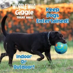 Wobble Wag Giggle Treat Dispensing Squeaky Ball Dog Toy, Blue -Blue Buffalo Shop 939670 PT5. AC SS1800 V1692635418