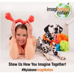 Nylabone Creative Play Eggi Treat Dispenser Dog Toy 18 Nylabone Creative Play Eggi Treat Dispenser Dog Toy -Blue Buffalo Shop 940662 PT7. AC SS1800 V1692280898