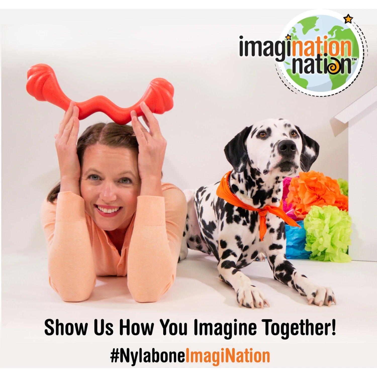 Nylabone Creative Play Eggi Treat Dispenser Dog Toy 10 Nylabone Creative Play Eggi Treat Dispenser Dog Toy - Image 8