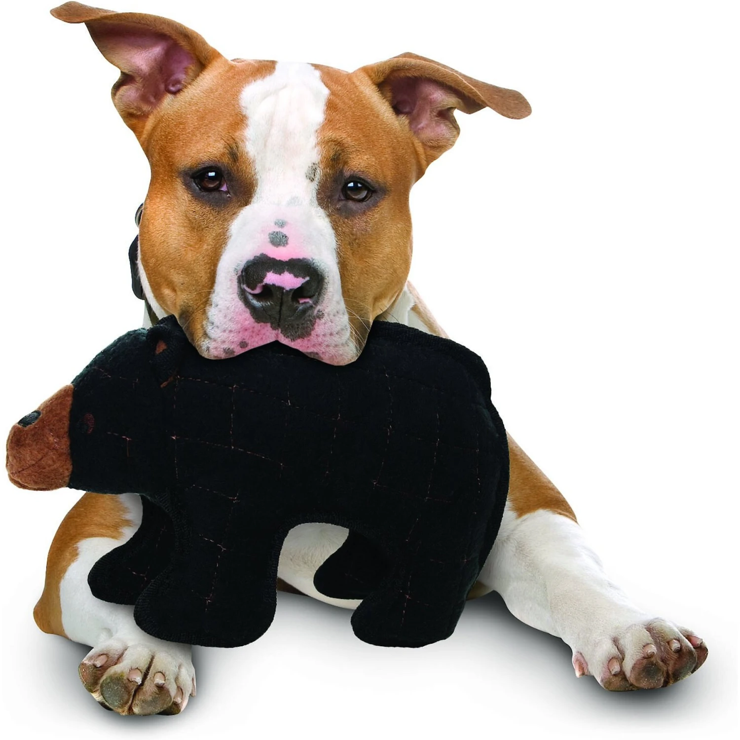 Tuffy's Zoo Bear Plush Dog Toy 5 Tuffy's Zoo Bear Plush Dog Toy - Image 3