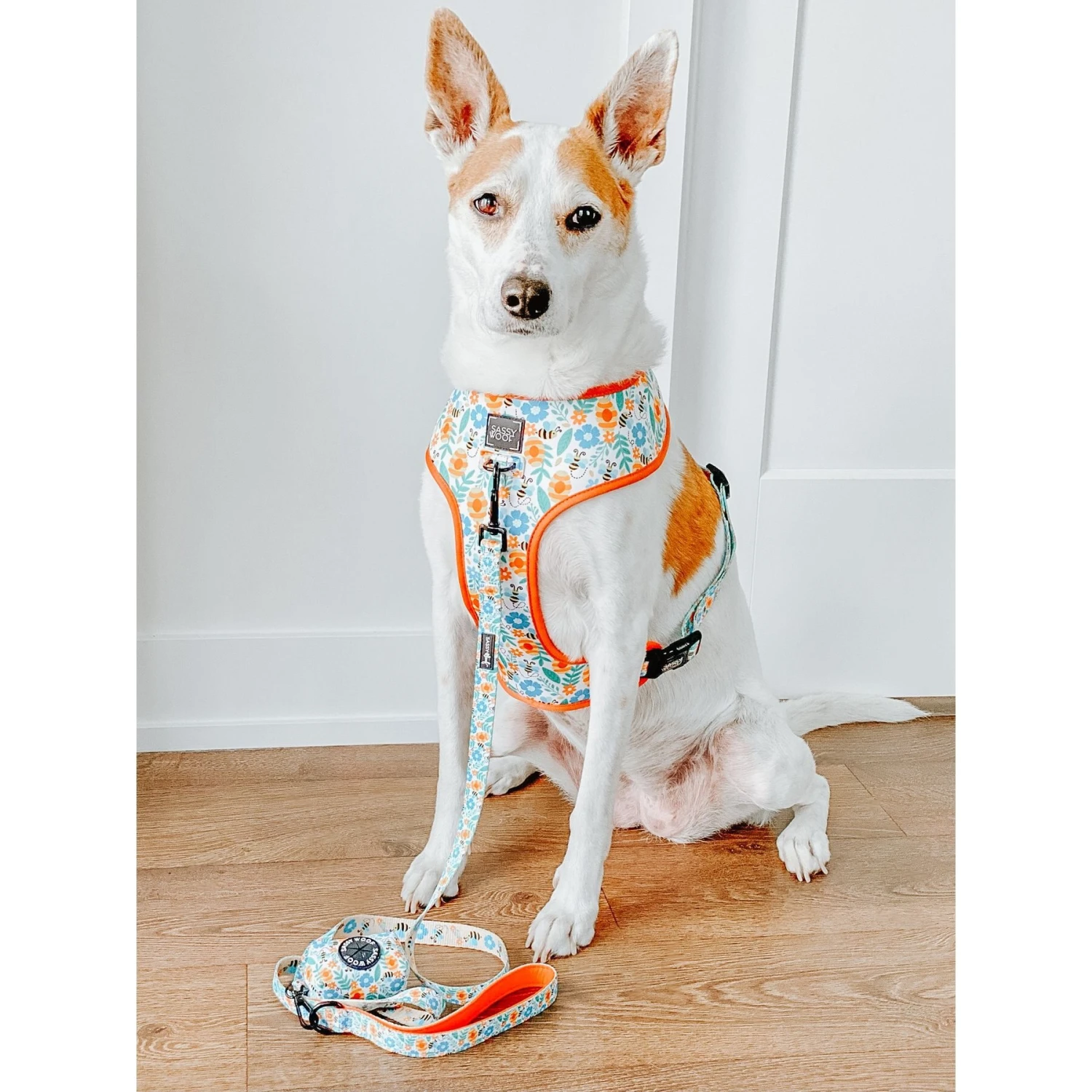 Sassy Woof Reversible Dog Harness, Must Be The Honey, Orange 5 Sassy Woof Reversible Dog Harness, Must Be The Honey, Orange - Image 3