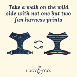 Lucy & Co. The Space Doodle Reversible Dog Harness, Navy -Blue Buffalo Shop 961390 PT2. AC SS1800 V1695738924