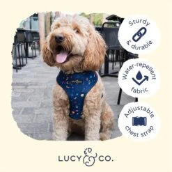 Lucy & Co. The Space Doodle Reversible Dog Harness, Navy -Blue Buffalo Shop 961390 PT3. AC SS1800 V1695746077