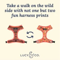 Lucy & Co. The Posy Pink Reversible Dog Harness, Pink 10 Lucy & Co. The Posy Pink Reversible Dog Harness, Pink -Blue Buffalo Shop 961414 PT2. AC SS1800 V1695746026