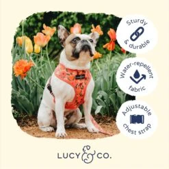 Lucy & Co. The Posy Pink Reversible Dog Harness, Pink 11 Lucy & Co. The Posy Pink Reversible Dog Harness, Pink -Blue Buffalo Shop 961414 PT3. AC SS1800 V1695746026