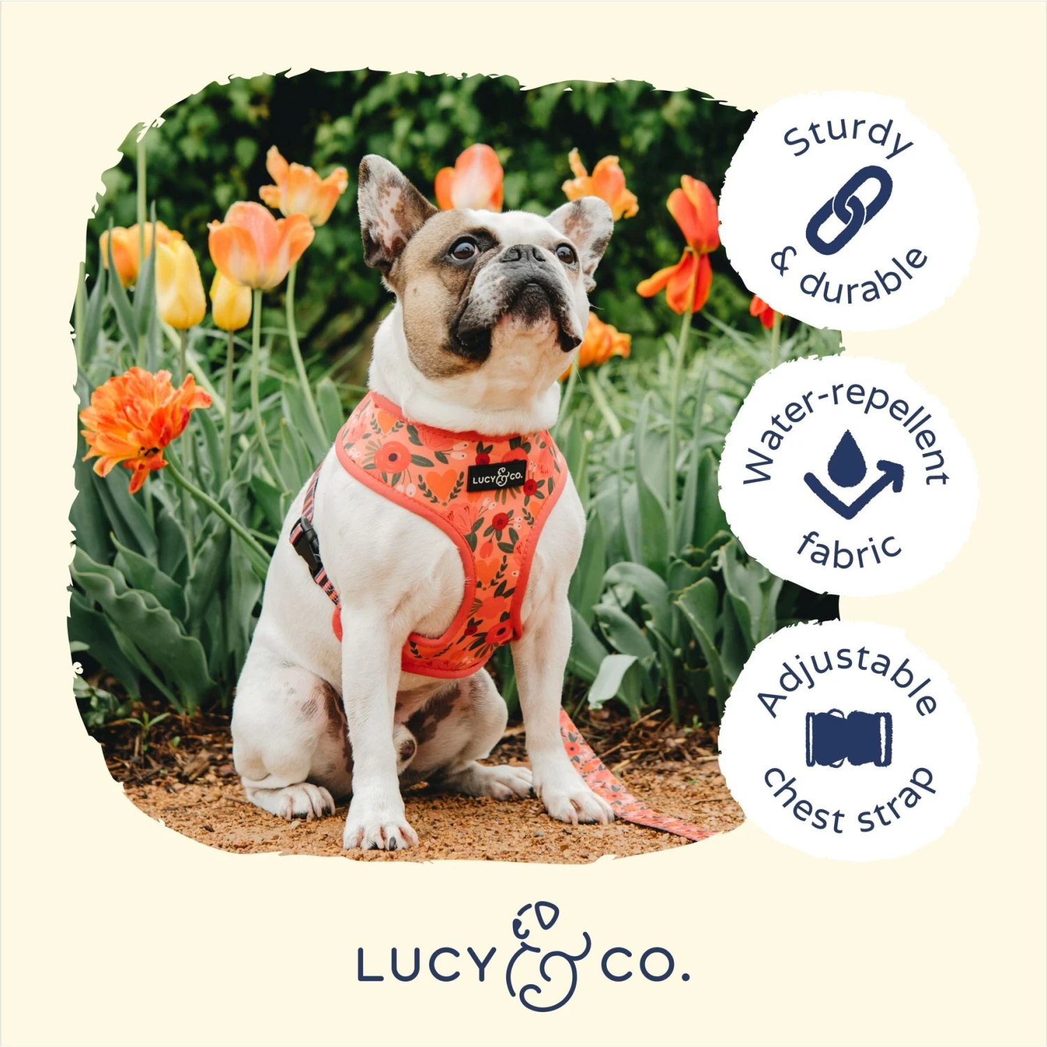 Lucy & Co. The Posy Pink Reversible Dog Harness, Pink 6 Lucy & Co. The Posy Pink Reversible Dog Harness, Pink - Image 4