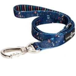 Lucy & Co. The Space Doodle Dog Leash, Navy: Small, 5-ft Long, 3/5-in Wide