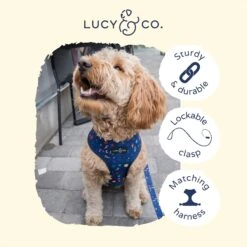 Lucy & Co. The Space Doodle Dog Leash, Navy: Small, 5-ft Long, 3/5-in Wide 8 Lucy & Co. The Space Doodle Dog Leash, Navy: Small, 5-ft Long, 3/5-in Wide -Blue Buffalo Shop 961478 PT2. AC SS1800 V1695666352