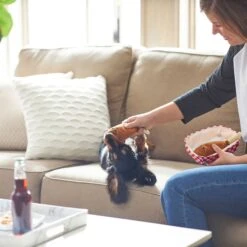 Frisco Corndog Interactive Plush Squeaky Dog Toy & Frisco Guacamole Hide & Seek Puzzle Plush Squeaky Dog Toy 14 Frisco Corndog Interactive Plush Squeaky Dog Toy & Frisco Guacamole Hide & Seek Puzzle Plush Squeaky Dog Toy -Blue Buffalo Shop 962086 PT3. AC SS1800 V1694782979