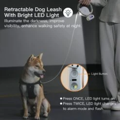 Shele Retractable Anti-Slip Handle & LED Light Nylon Telescopic Luminous Dog Leash, White, 10-ft Long, .4-in W 15 Shele Retractable Anti-Slip Handle & LED Light Nylon Telescopic Luminous Dog Leash, White, 10-ft Long, .4-in W -Blue Buffalo Shop 963966 PT5. AC SS1800 V1696251434