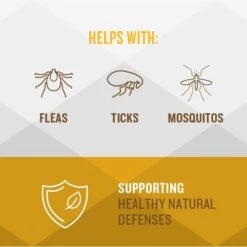 VetIQ Hickory Smoke Flavored Soft Chews Flea & Tick Support For Dogs, 9.5-oz, 60 Count 12 VetIQ Hickory Smoke Flavored Soft Chews Flea & Tick Support For Dogs, 9.5-oz, 60 Count -Blue Buffalo Shop 970702 PT2. AC SS1800 V1702509381